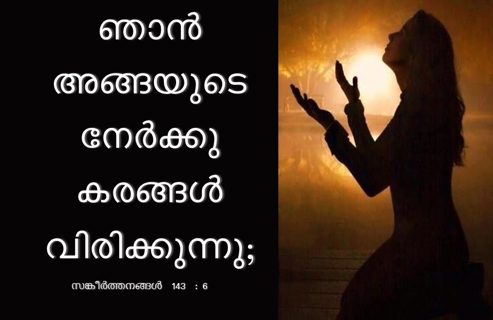 Bible Verse