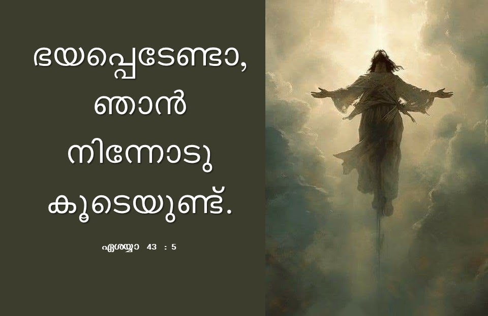 Bible Verse