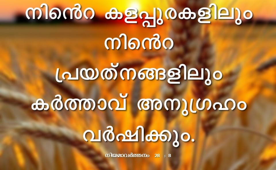 Bible Verse