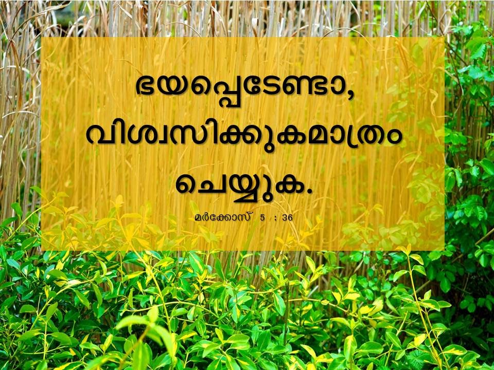 Bible Verse