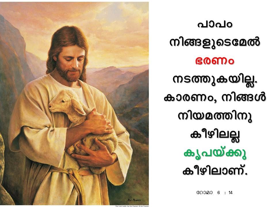 Bible Verse