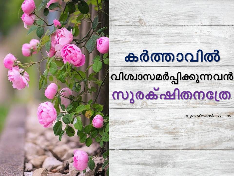 Bible Verse