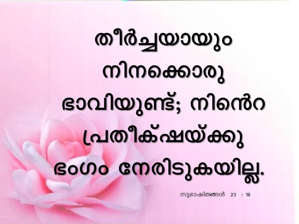 Bible Verse