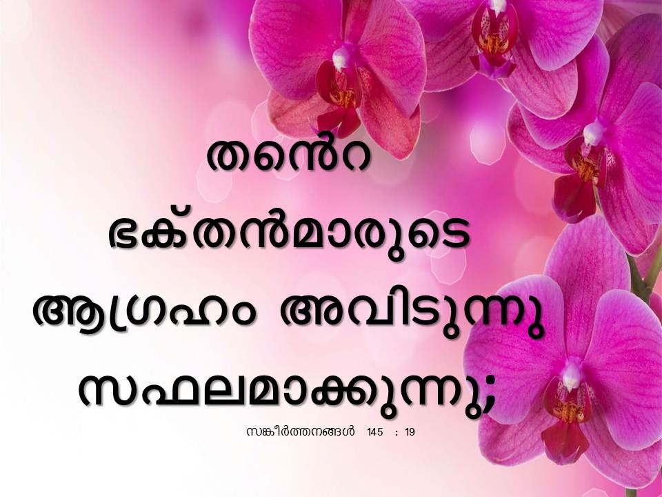 Bible Verse