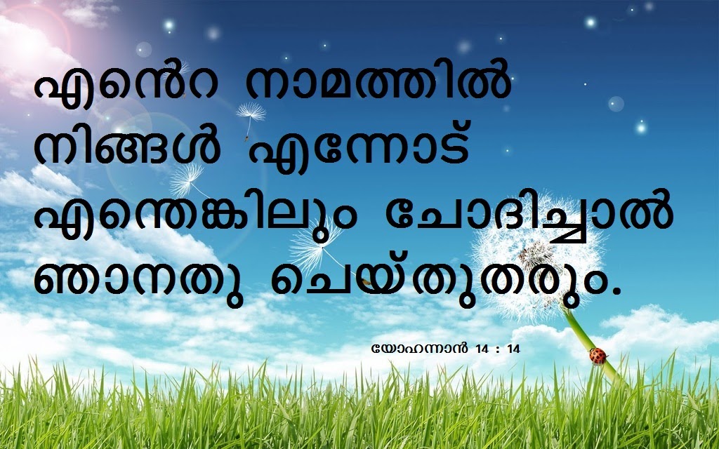 Bible Verse