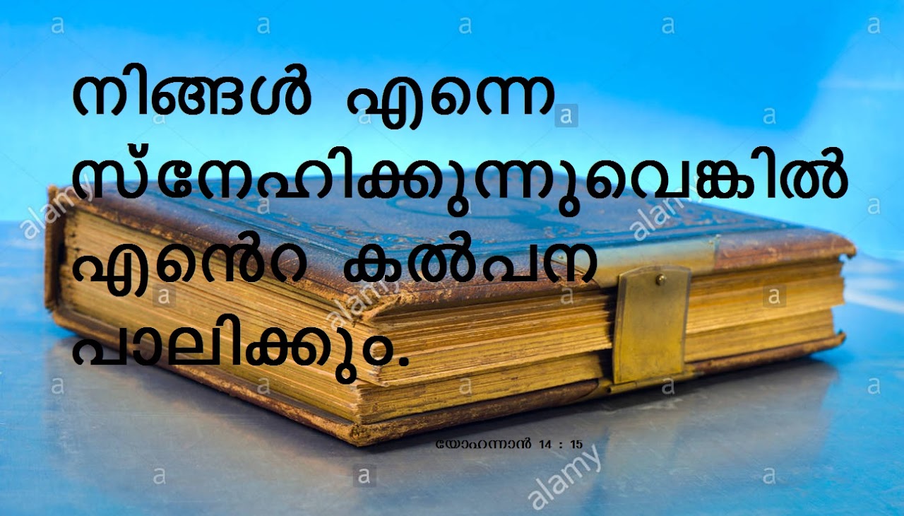 Bible Verse
