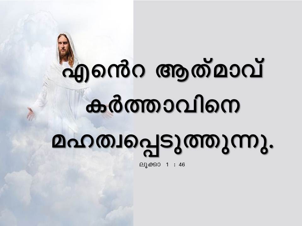 Bible Verse