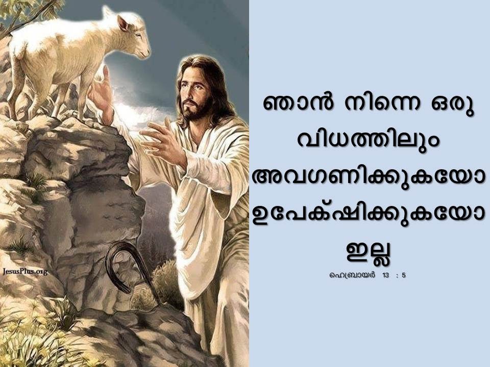 Bible Verse