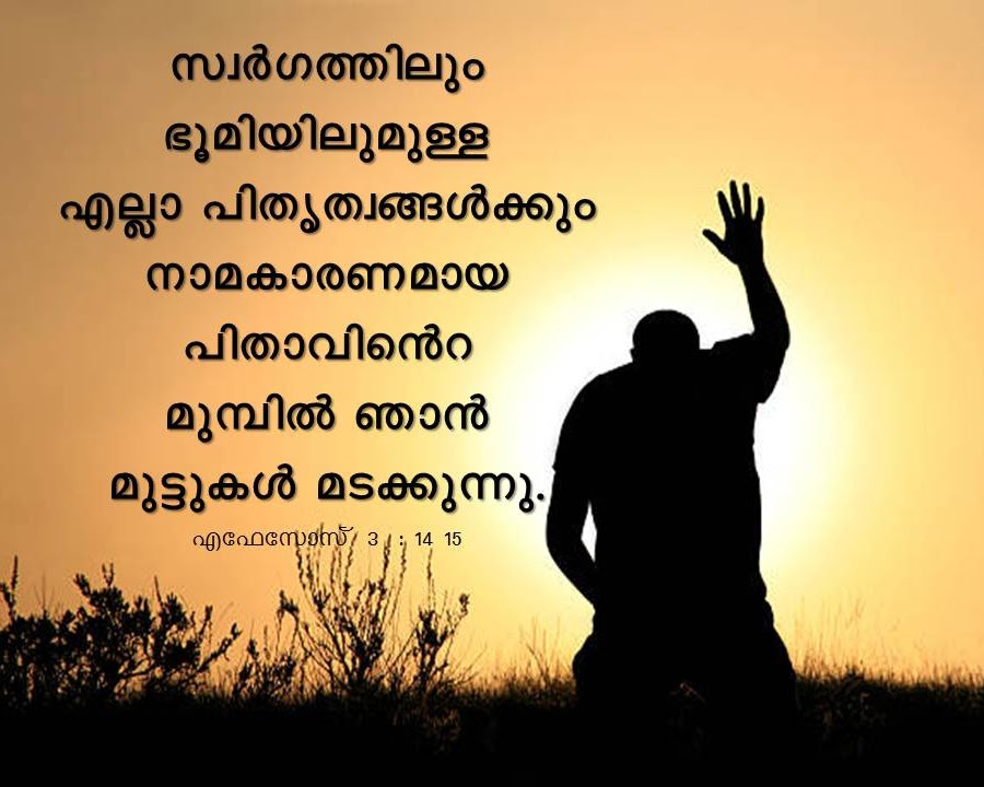 Bible Verse
