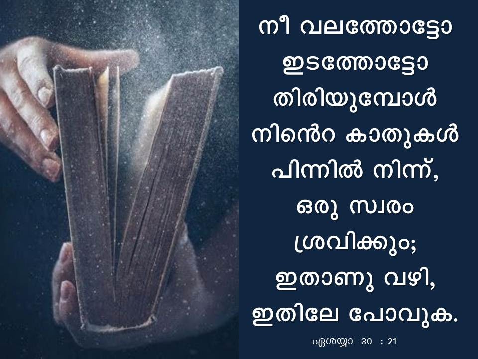 Bible Verse