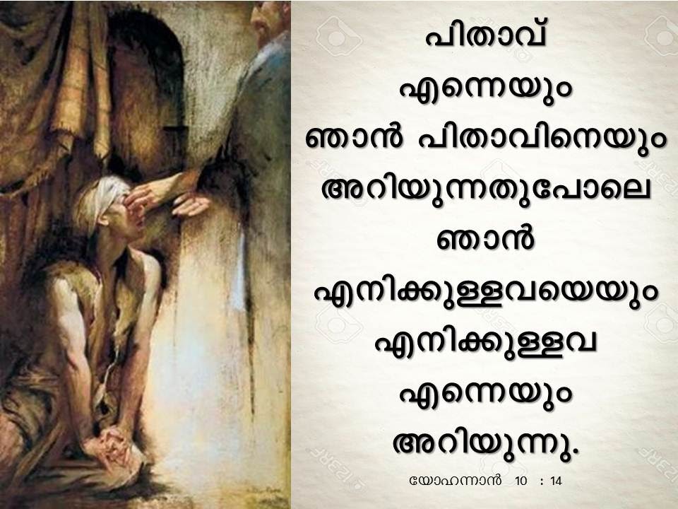 Bible Verse