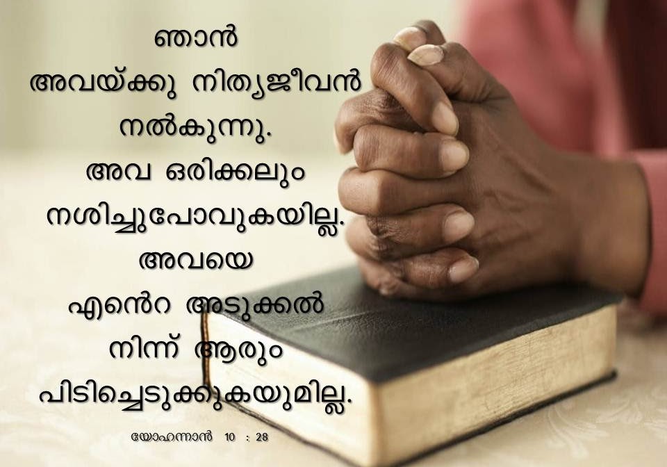 Bible Verse