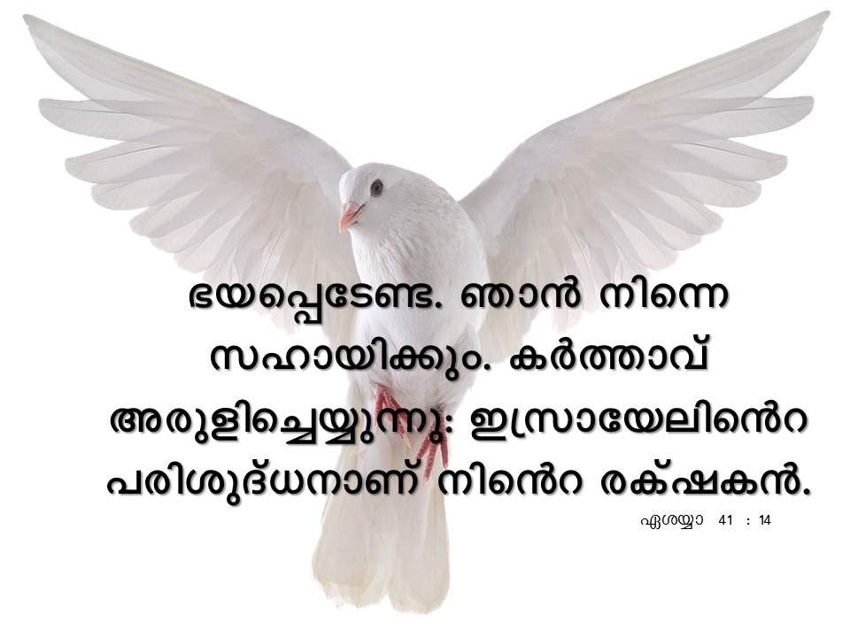 Bible Verse