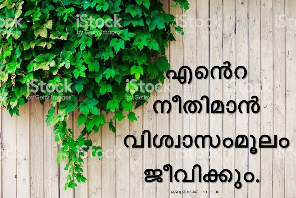 Bible Verse