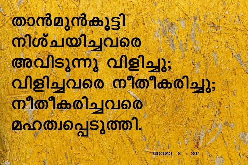 Bible Verse