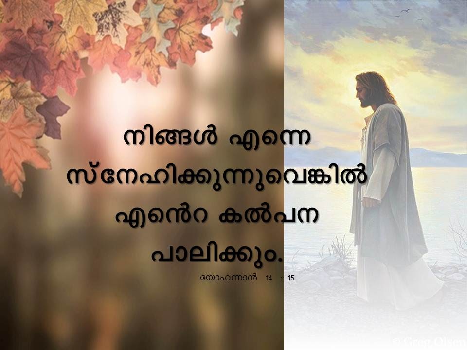 Bible Verse