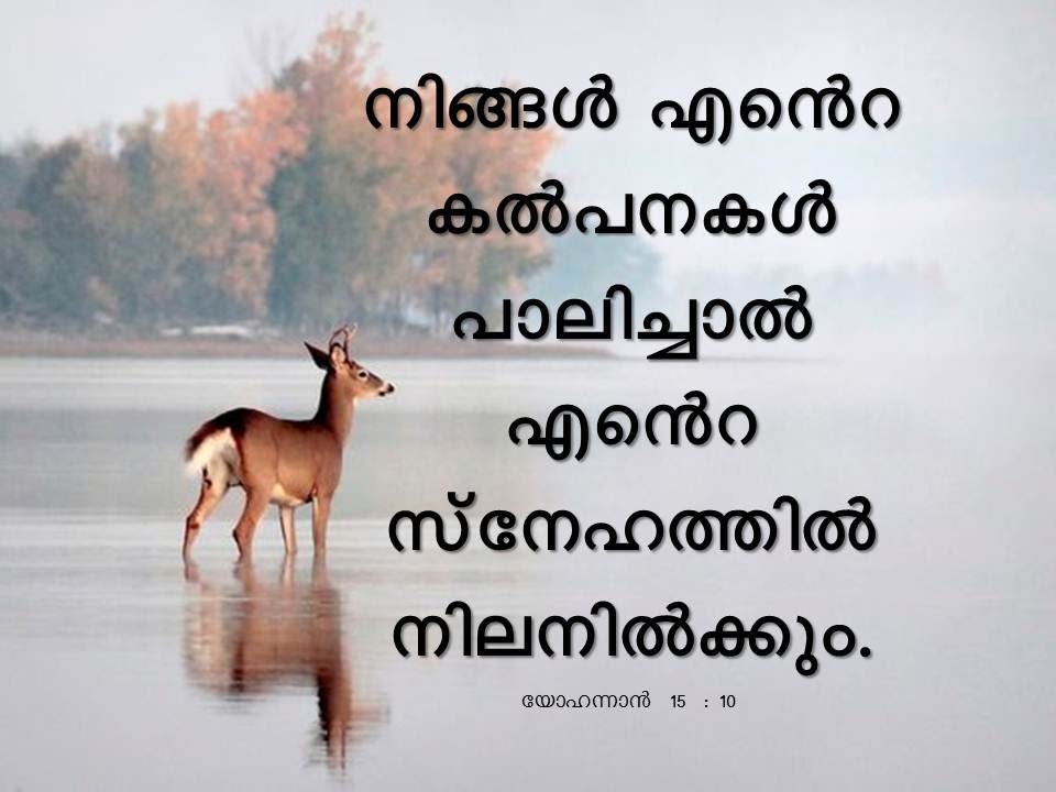 Bible Verse