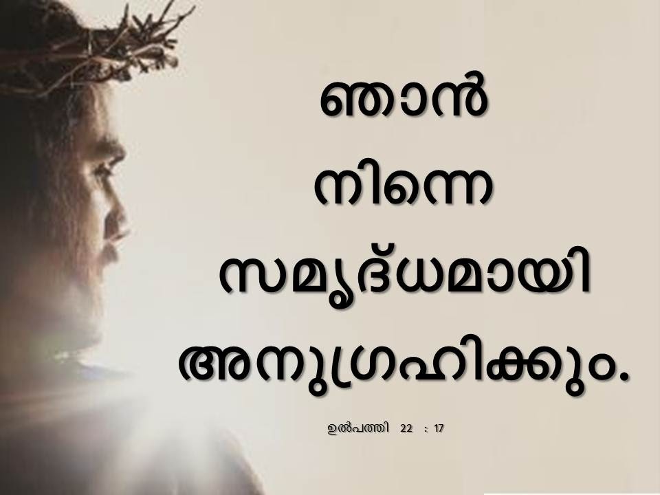 Bible Verse