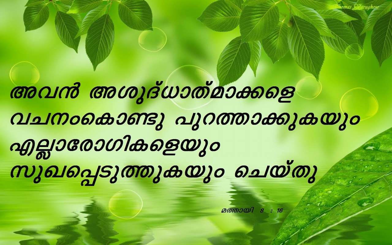 Bible Verse