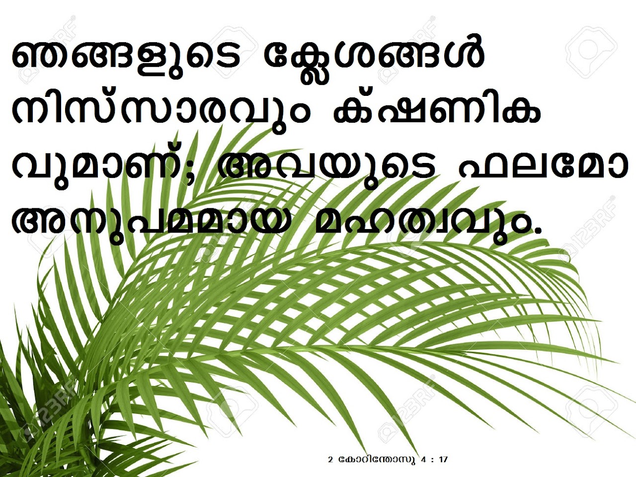 Bible Verse