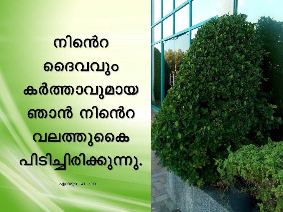 Bible Verse