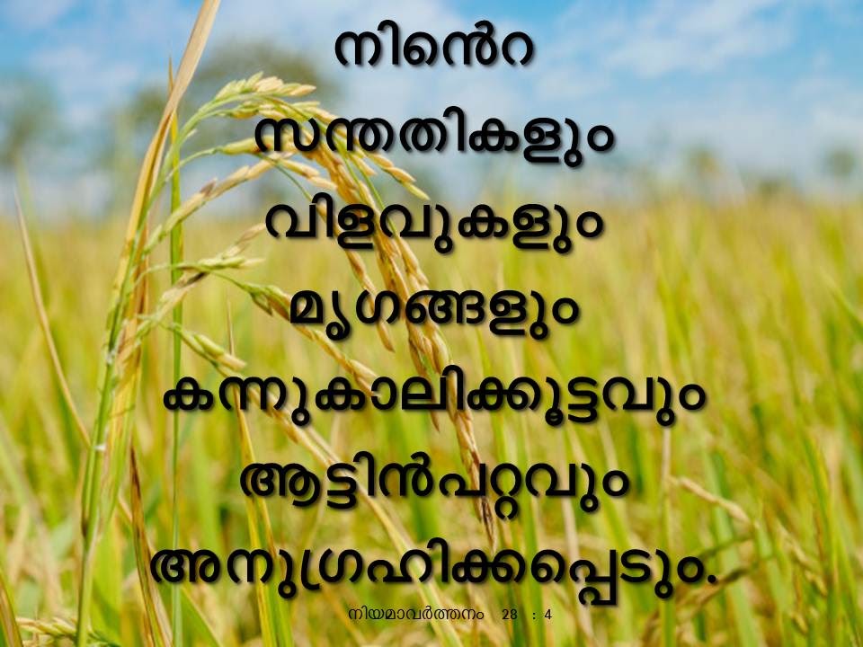 Bible Verse