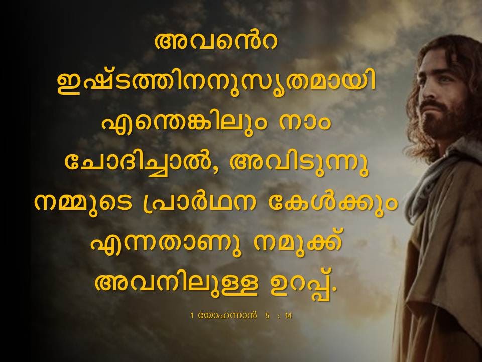 Bible Verse