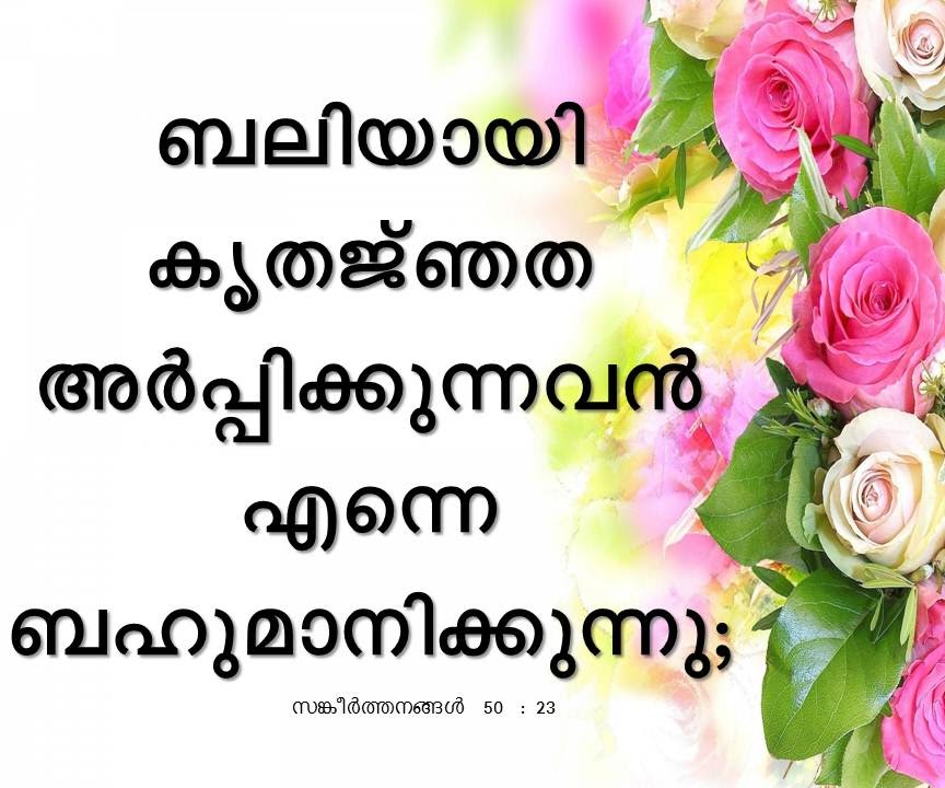Bible Verse