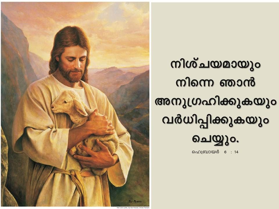 Bible Verse