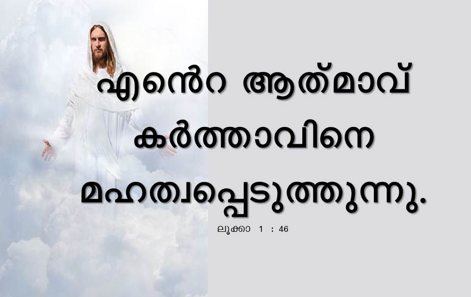 Bible Verse