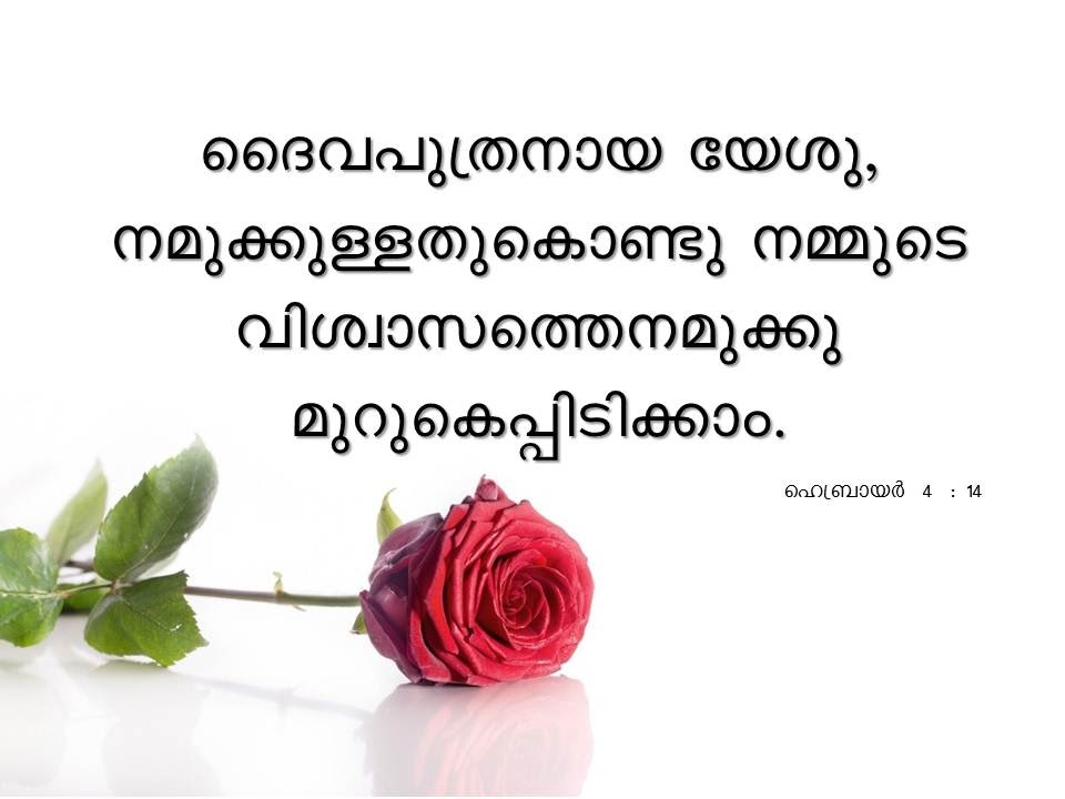 Bible Verse