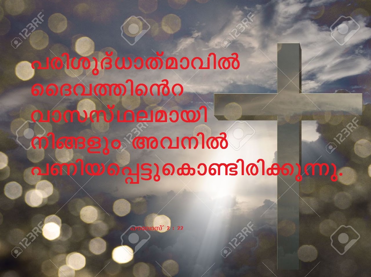 Bible Verse