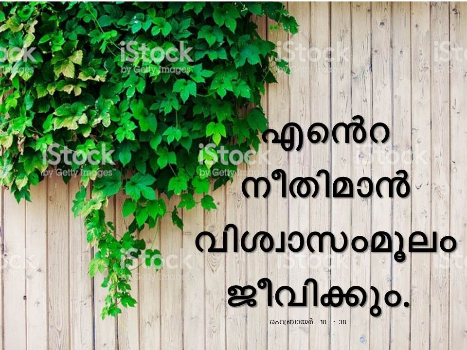 Bible Verse