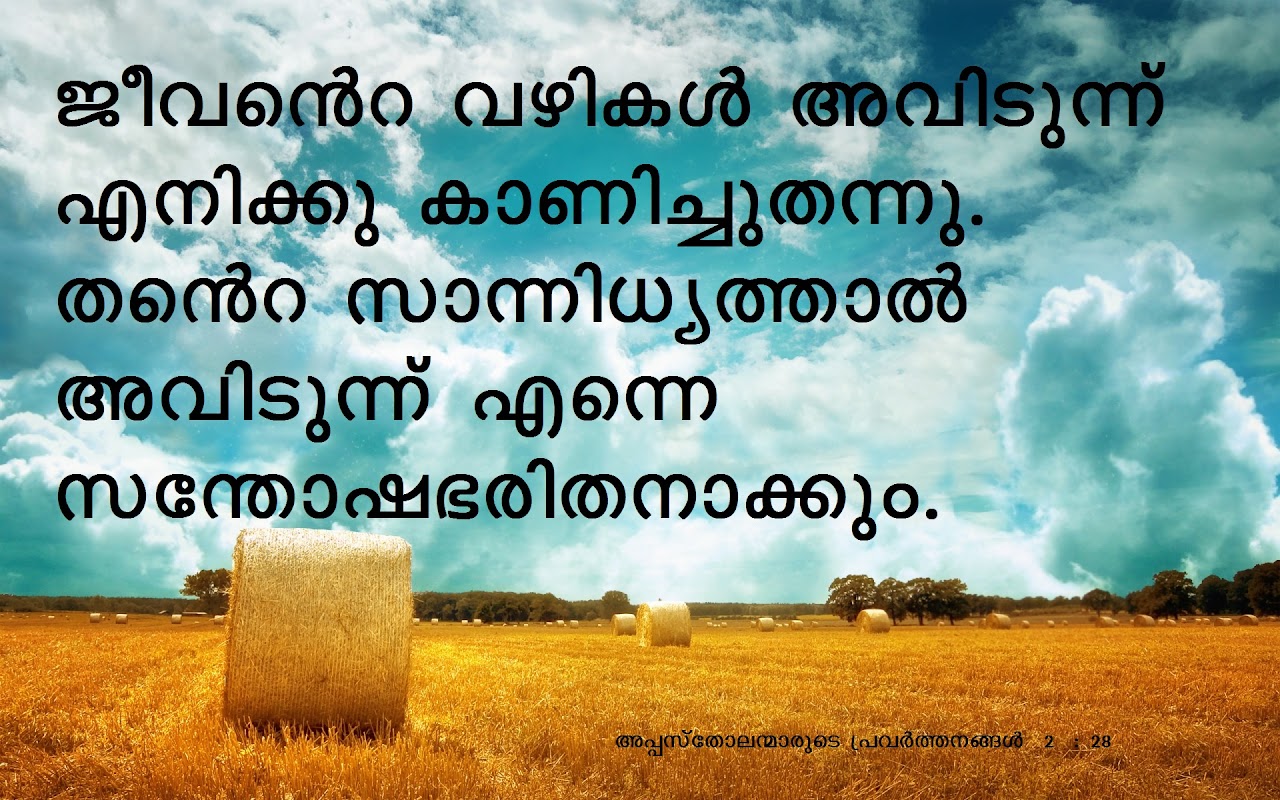 Bible Verse