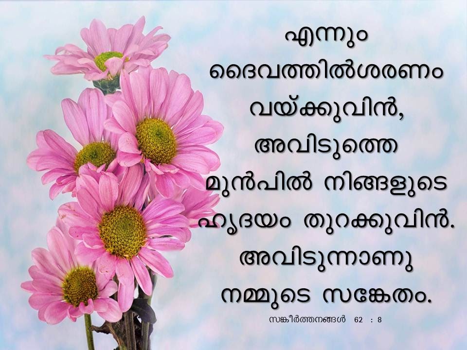 Bible Verse