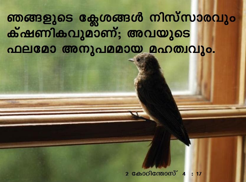 Bible Verse