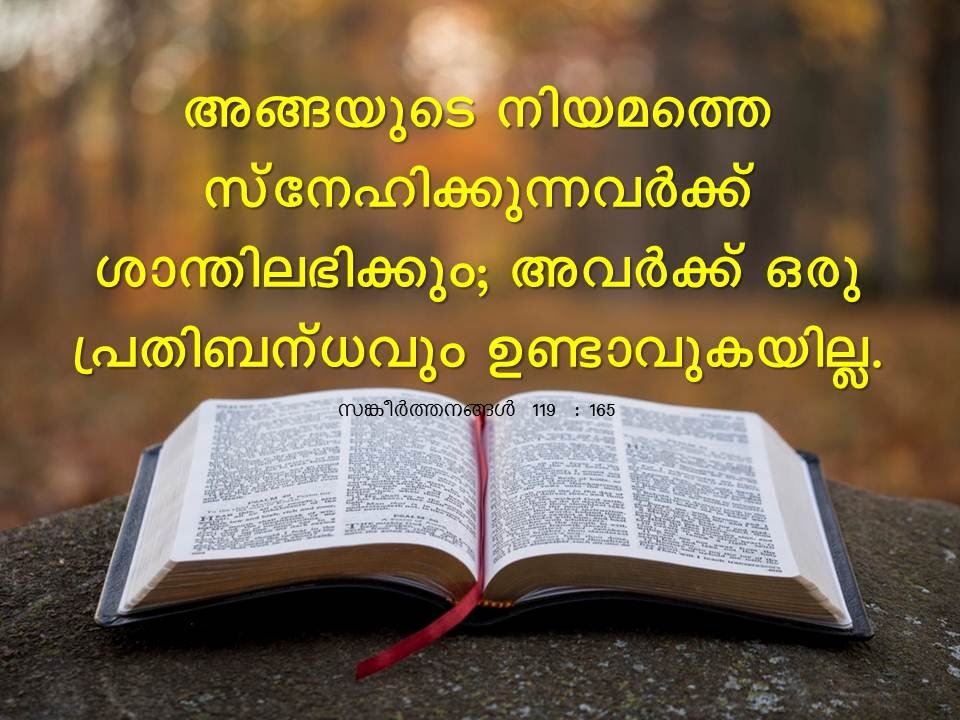 Bible Verse