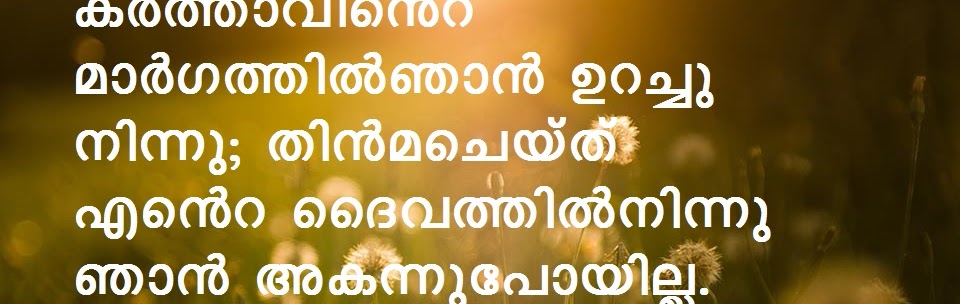 Bible Verse