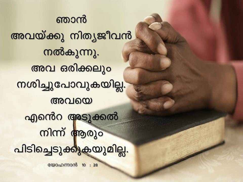 Bible Verse