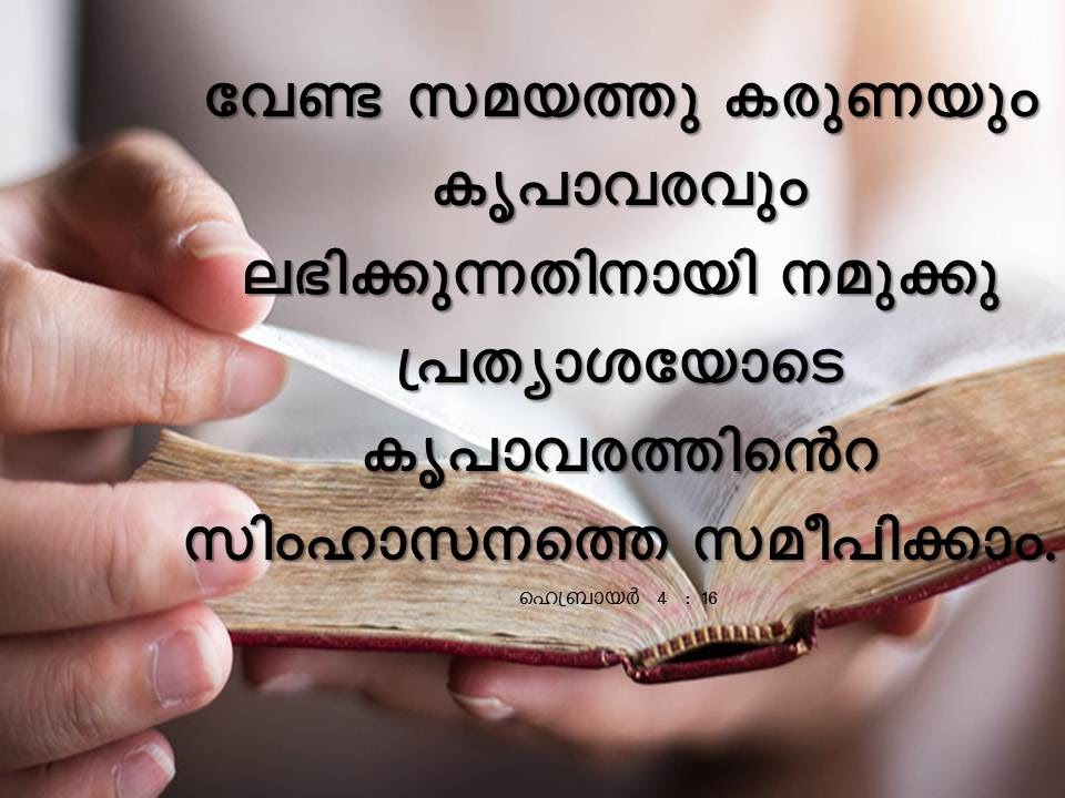 Bible Verse