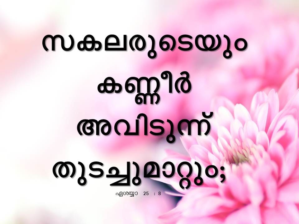 Bible Verse