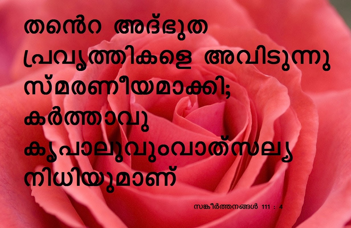 Bible Verse