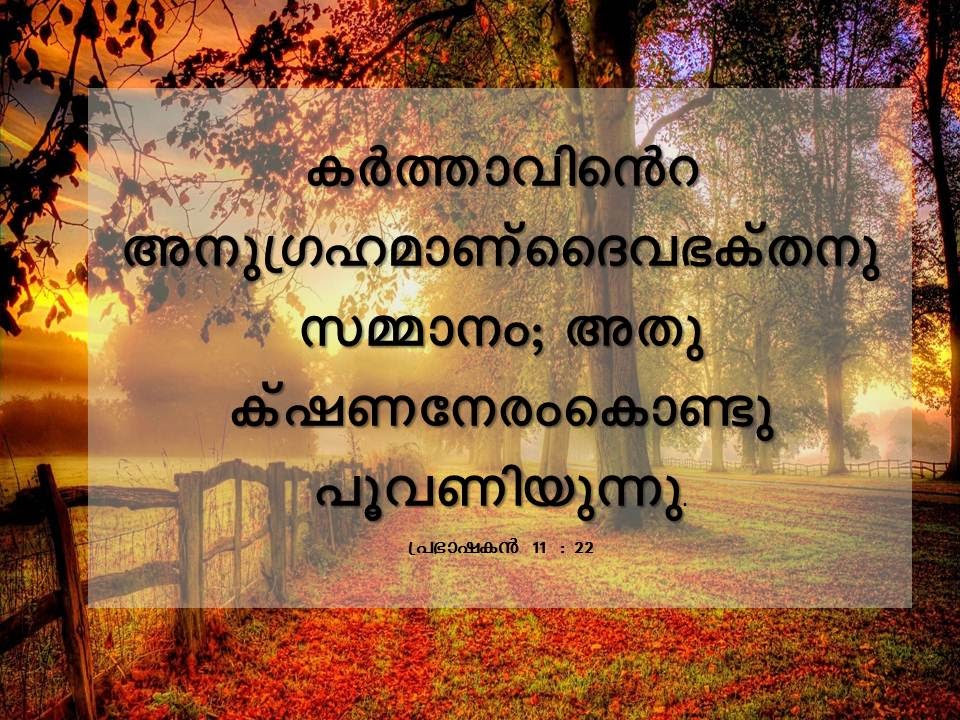 Bible Verse
