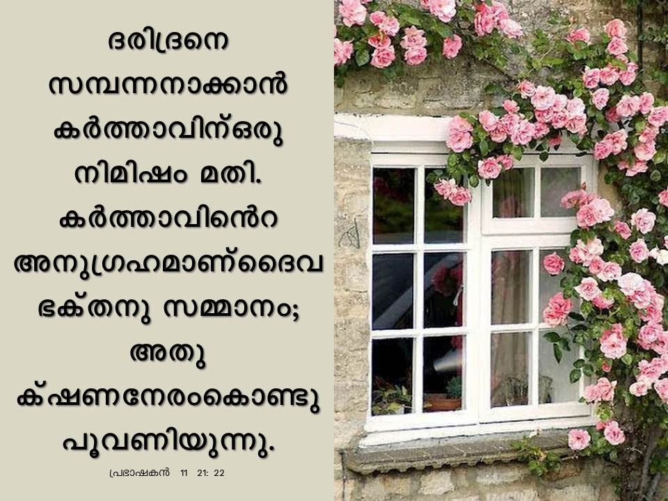 Bible Verse