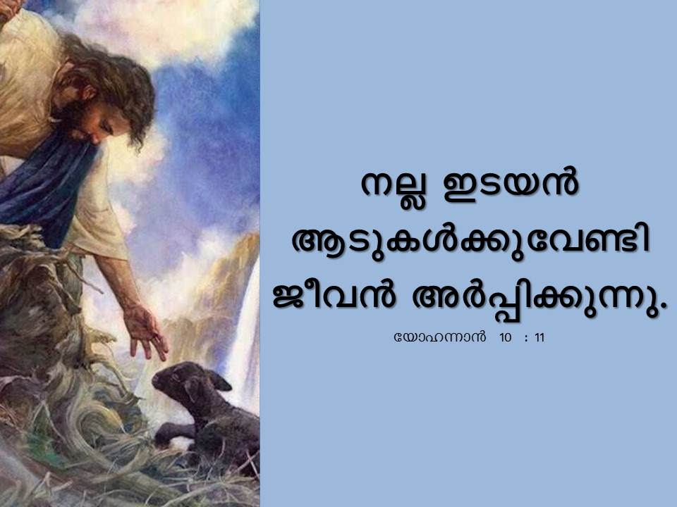 Bible Verse