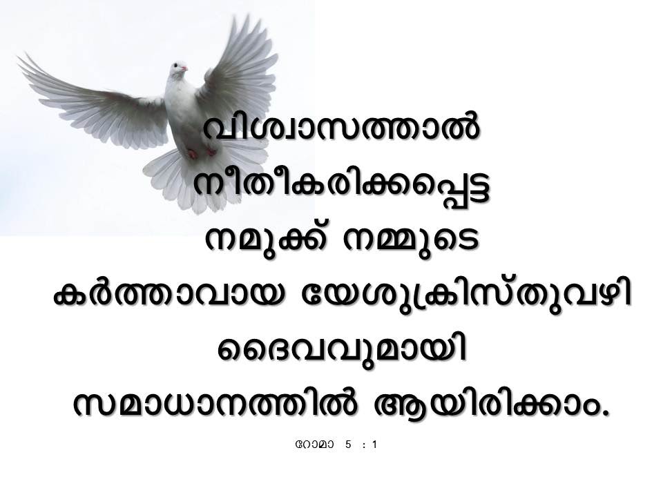 Bible Verse