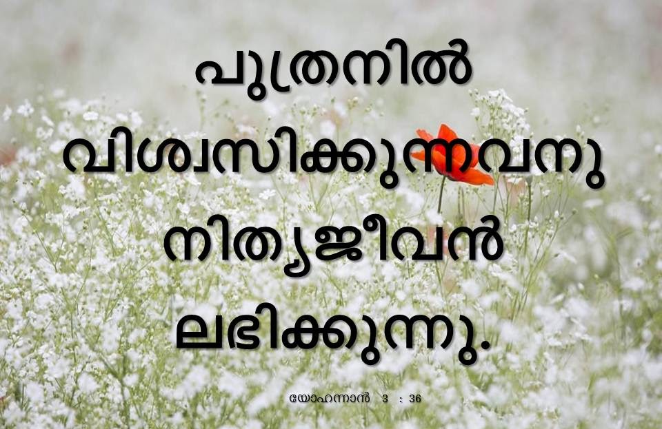 Bible Verse